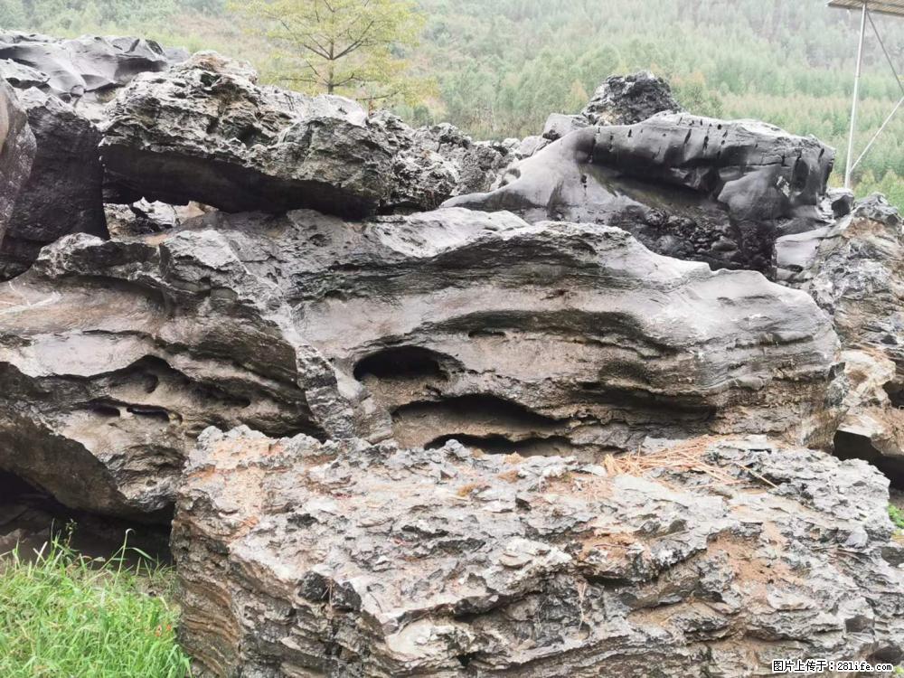 风景石、假山石大量有货，有需要的欢迎联系 - 新手上路 - 陇南生活社区 - 陇南28生活网 ln.28life.net