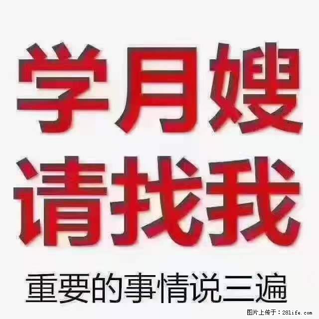 为什么要学习月嫂，育婴师？ - 新手上路 - 陇南生活社区 - 陇南28生活网 ln.28life.net