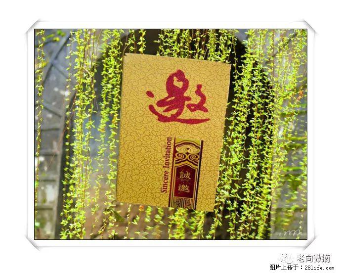 【春天，广西桂林灌阳县向您发出邀请！】开篇 - 游山玩水 - 陇南生活社区 - 陇南28生活网 ln.28life.net