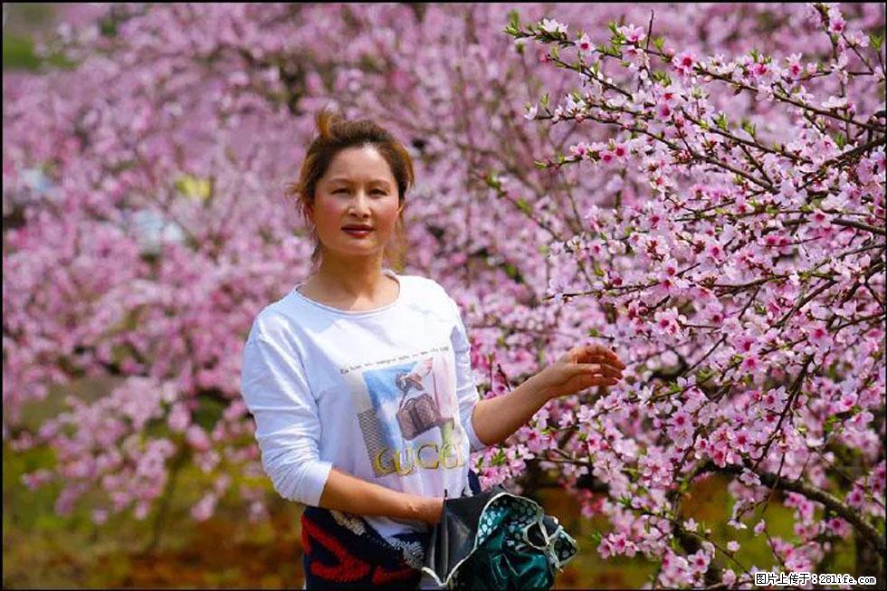 【春天，广西桂林灌阳县向您发出邀请！】官庄村有个醉美的桃花园 - 游山玩水 - 陇南生活社区 - 陇南28生活网 ln.28life.net