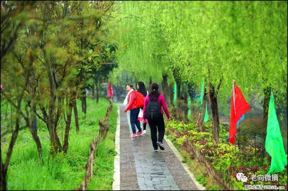 【春天，广西桂林灌阳县向您发出邀请！】江口老街又逢春 - 游山玩水 - 陇南生活社区 - 陇南28生活网 ln.28life.net