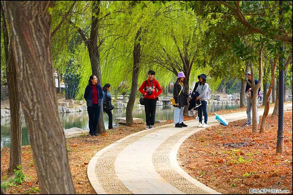 【春天，广西桂林灌阳县向您发出邀请！】江口老街又逢春 - 游山玩水 - 陇南生活社区 - 陇南28生活网 ln.28life.net