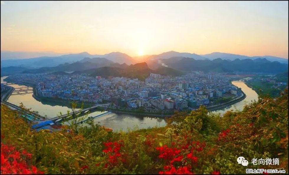 【春天，广西桂林灌阳县向您发出邀请！】登麒麟山，相约映山红 - 游山玩水 - 陇南生活社区 - 陇南28生活网 ln.28life.net