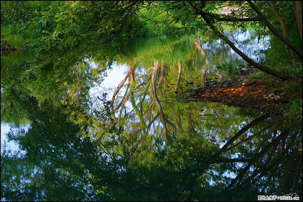 【春天，广西桂林灌阳县向您发出邀请！】熊家寨湿地公园 - 游山玩水 - 陇南生活社区 - 陇南28生活网 ln.28life.net