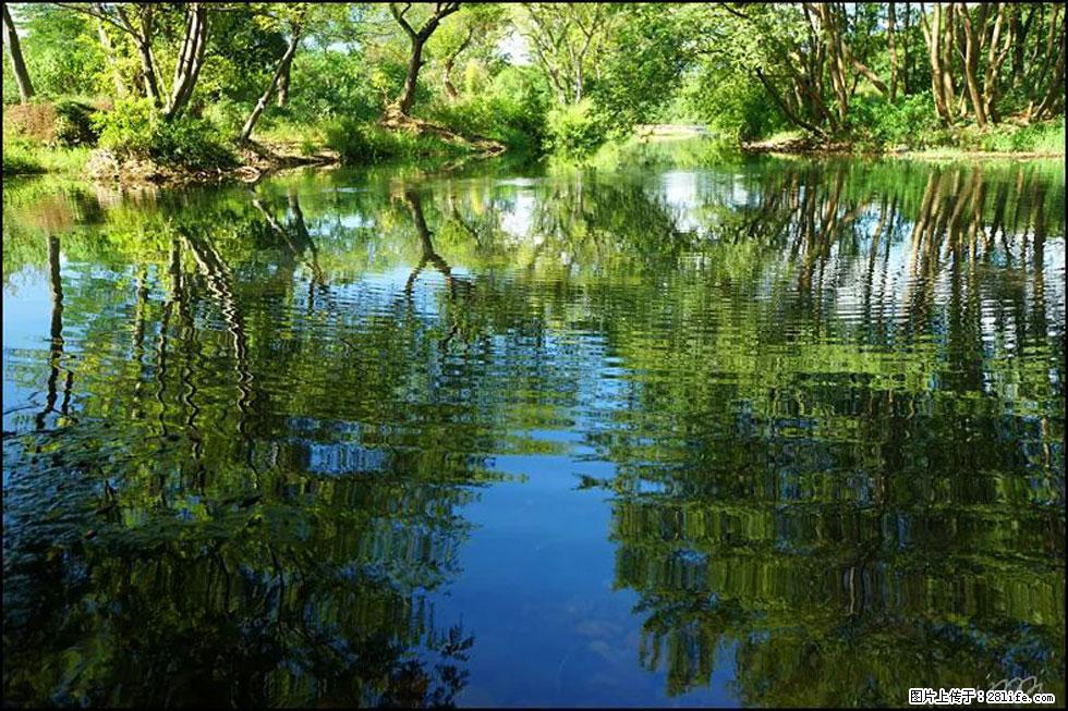 【春天，广西桂林灌阳县向您发出邀请！】熊家寨湿地公园 - 游山玩水 - 陇南生活社区 - 陇南28生活网 ln.28life.net