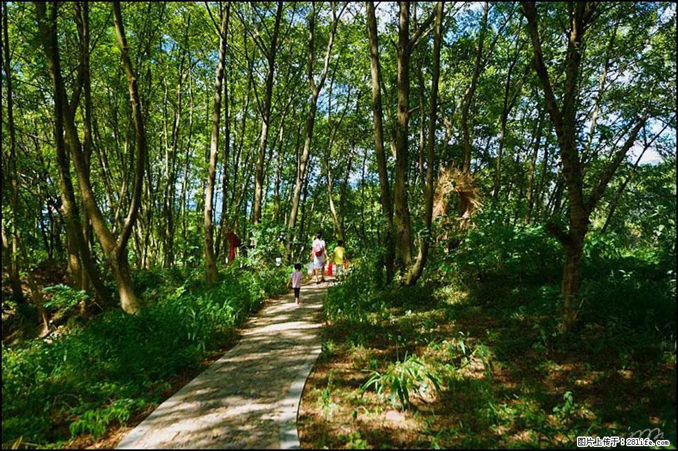 【春天，广西桂林灌阳县向您发出邀请！】熊家寨湿地公园 - 游山玩水 - 陇南生活社区 - 陇南28生活网 ln.28life.net