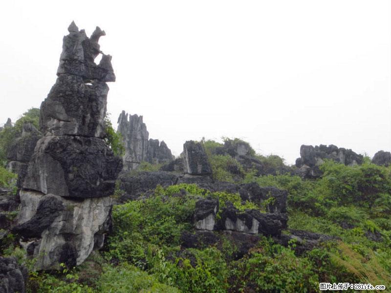 桂林旅游名城景点：灌阳文市石林 - 游山玩水 - 陇南生活社区 - 陇南28生活网 ln.28life.net