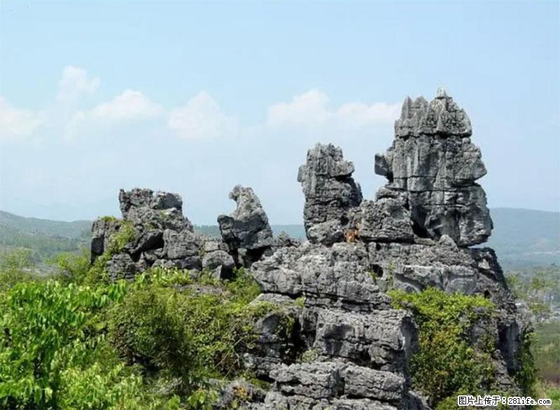 桂林旅游名城景点：灌阳文市石林 - 游山玩水 - 陇南生活社区 - 陇南28生活网 ln.28life.net