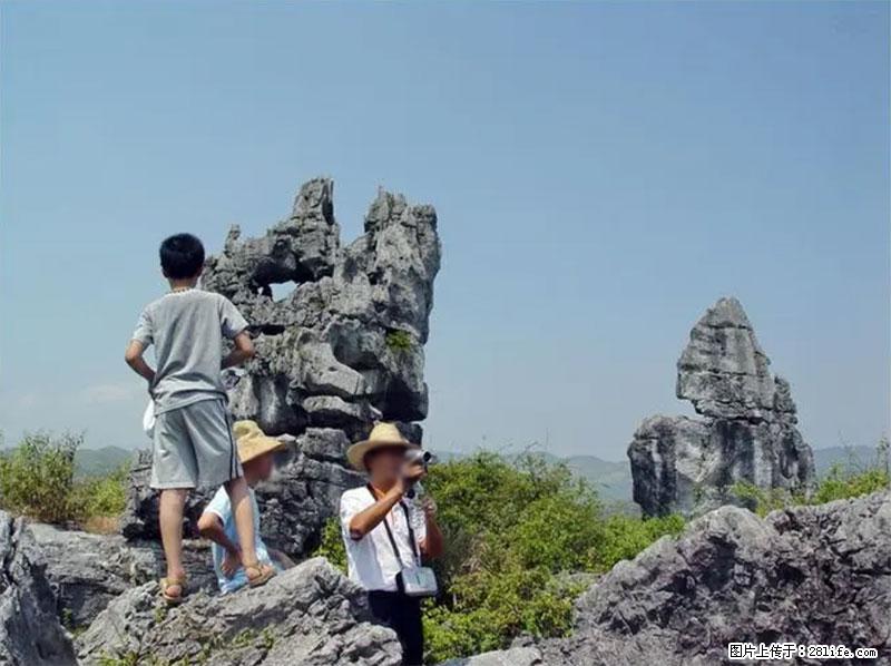 桂林旅游名城景点：灌阳文市石林 - 游山玩水 - 陇南生活社区 - 陇南28生活网 ln.28life.net