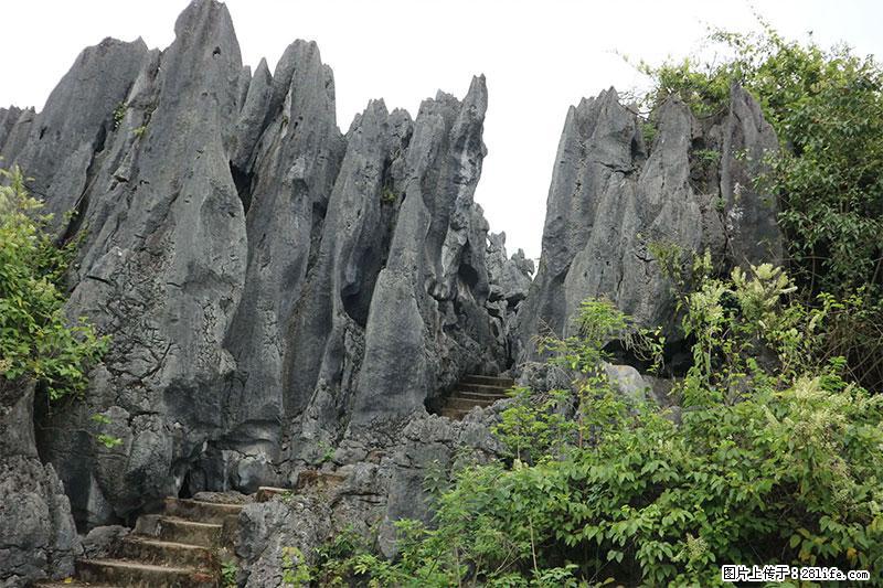 桂林旅游名城景点：灌阳文市石林 - 游山玩水 - 陇南生活社区 - 陇南28生活网 ln.28life.net