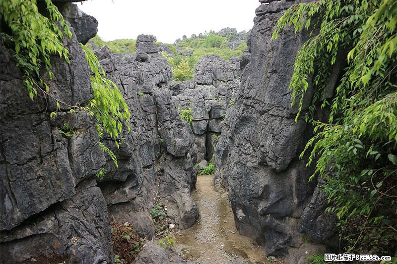 桂林旅游名城景点：灌阳文市石林 - 游山玩水 - 陇南生活社区 - 陇南28生活网 ln.28life.net