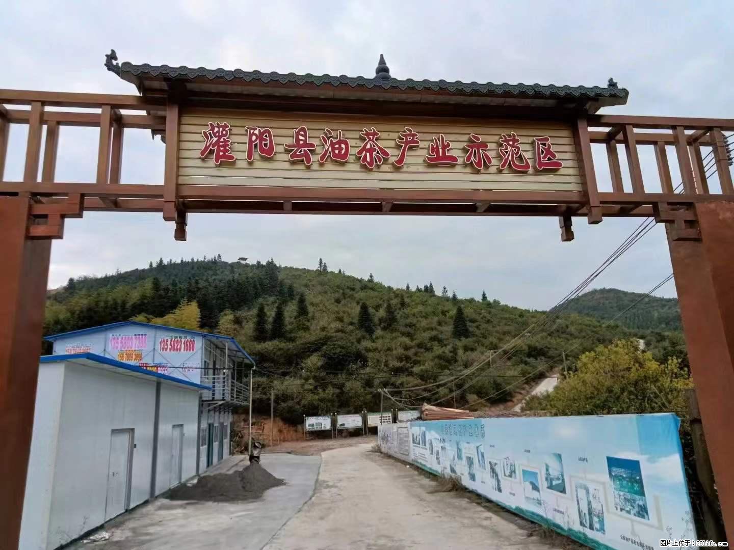 【灌阳县油茶产业示范区】一个有着充实的精神生活的人，对待身外之物自会有一种淡泊的态度 - 土特产 - 饮食特产 - 陇南分类信息 - 陇南28生活网 ln.28life.net