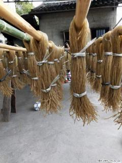 【灌阳正宗红薯粉】美女家里自己做的，干净卫生，假一赔十，价格合理，抢购电话：13737312895 - 陇南28生活网 ln.28life.net