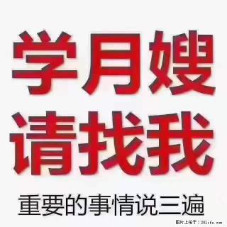 为什么要学习月嫂，育婴师？ - 陇南28生活网 ln.28life.net