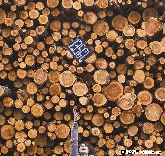 辞掉工作周游世界？现在他们在洗厕所…… - 游山玩水 - 陇南生活社区 - 陇南28生活网 ln.28life.net