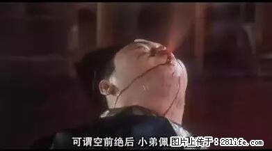 笑癫了！一女的怀孕三年未生，他终于忍不住了... - 娱乐八卦 - 陇南生活社区 - 陇南28生活网 ln.28life.net