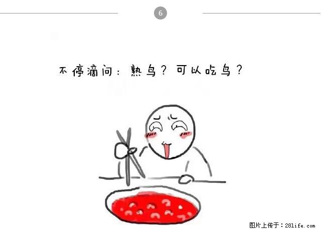 千万不要和这9种哈卵一起吃火锅！ - 美食天地 - 陇南生活社区 - 陇南28生活网 ln.28life.net