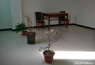 森美购物广场 2室1厅1卫 - 陇南28生活网 ln.28life.net