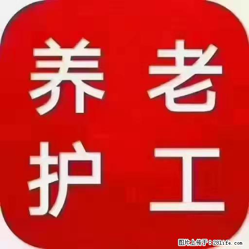 上海国企养老院，星级酒店环境，招聘养老护工 - 职场交流 - 陇南生活社区 - 陇南28生活网 ln.28life.net