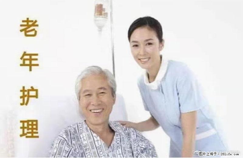 上海国企养老院，星级酒店环境，招聘养老护工 - 职场交流 - 陇南生活社区 - 陇南28生活网 ln.28life.net