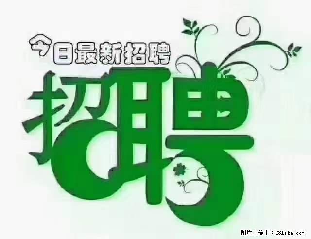 【招聘】产康师 - 职场交流 - 陇南生活社区 - 陇南28生活网 ln.28life.net