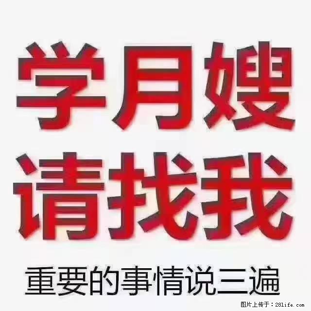 【招聘】月嫂，上海徐汇区 - 职场交流 - 陇南生活社区 - 陇南28生活网 ln.28life.net