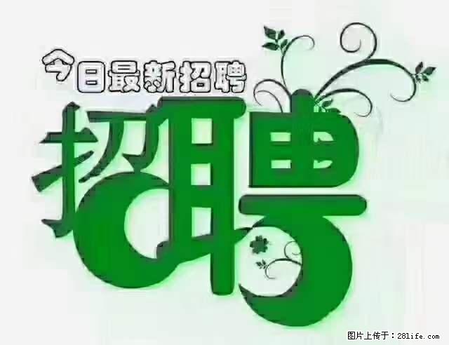 上海隔离酒店招人：55岁以下 男女不限 - 职场交流 - 陇南生活社区 - 陇南28生活网 ln.28life.net