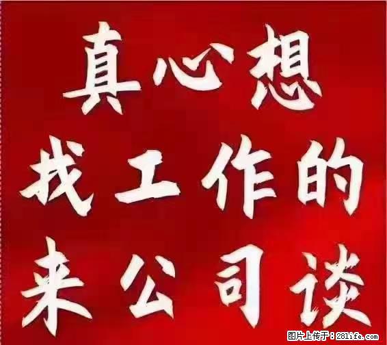 【上海】国企，医院招两名男保安，55岁以下，身高1.7米以上，无犯罪记录不良嗜好 - 职场交流 - 陇南生活社区 - 陇南28生活网 ln.28life.net