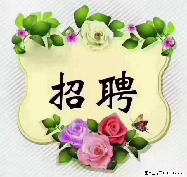 【招聘】住家育儿嫂，上户日期：4月4日，工作地址：上海 黄浦区 - 职场交流 - 陇南生活社区 - 陇南28生活网 ln.28life.net