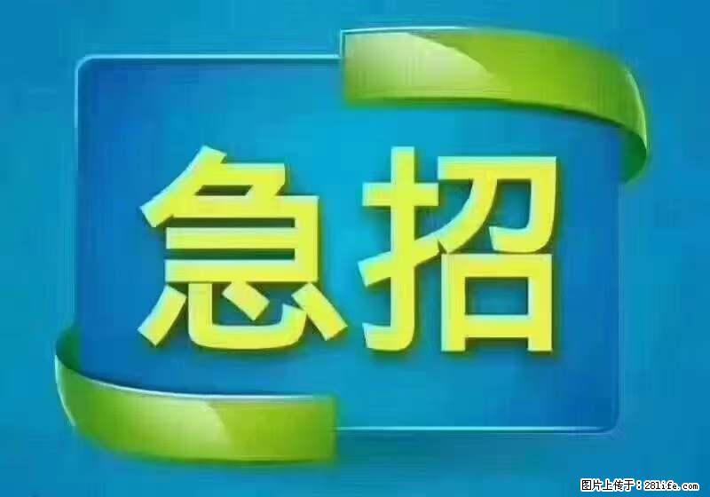 招出纳8000元/月，无证可以，要有相关经验，上海五险一金，包住，包工作餐，做六休一。 - 职场交流 - 陇南生活社区 - 陇南28生活网 ln.28life.net