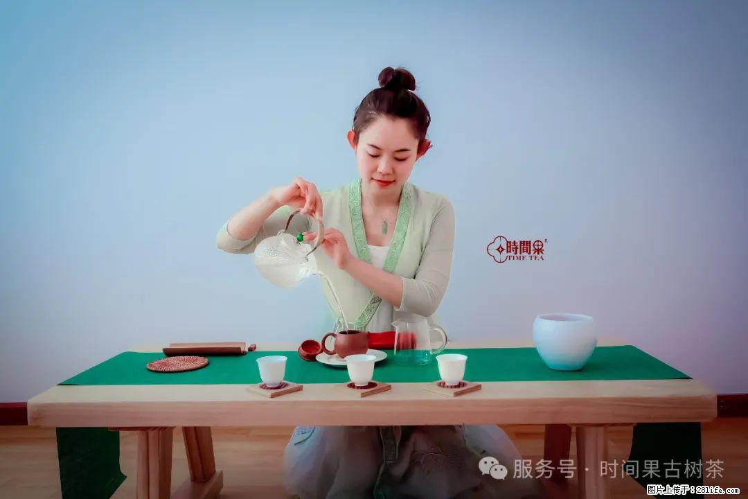时间果百年古树龙珠普洱生茶 - 购物交流 - 陇南生活社区 - 陇南28生活网 ln.28life.net