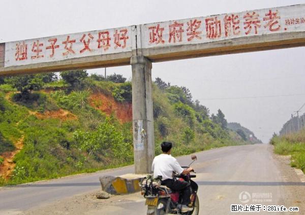 全面两孩政策计划明年元旦起实施 夫妻可延长生育假 - 陇南生活资讯 - 陇南28生活网 ln.28life.net
