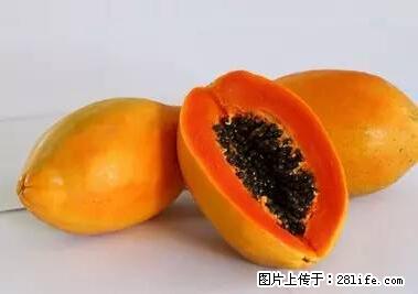 晕车、脚气、牙齿变黄、皮肤粗糙？学会这些三分钟搞定！ - 陇南生活资讯 - 陇南28生活网 ln.28life.net