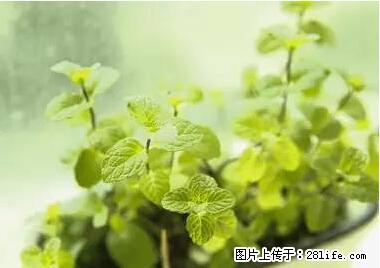 晕车、脚气、牙齿变黄、皮肤粗糙？学会这些三分钟搞定！ - 陇南生活资讯 - 陇南28生活网 ln.28life.net