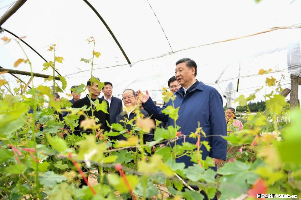习近平赴广西考察调研 - 陇南生活资讯 - 陇南28生活网 ln.28life.net