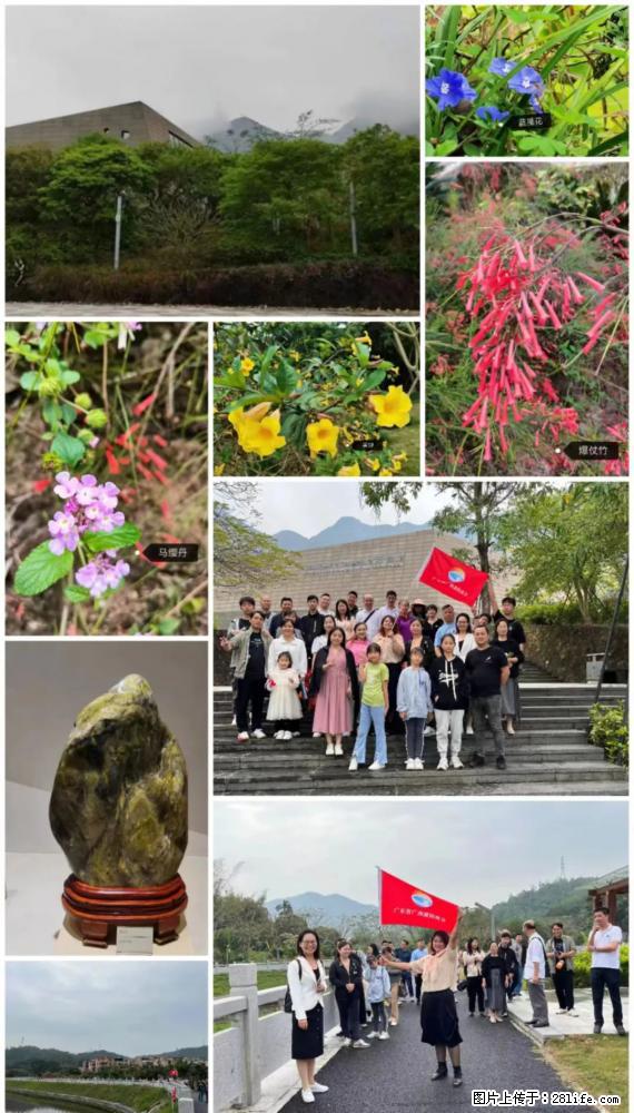 “粤灌文化 美好生活”油茶文化主题活动在广东深圳成功举办 - 陇南生活资讯 - 陇南28生活网 ln.28life.net