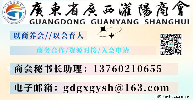 “粤灌文化 美好生活”油茶文化主题活动在广东深圳成功举办 - 陇南生活资讯 - 陇南28生活网 ln.28life.net