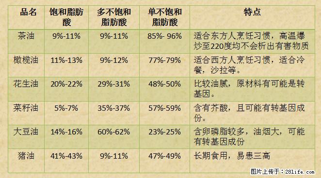 揭秘茶油的5大核心营养成分！被称为人体健康的“守护盾”！ - 陇南生活资讯 - 陇南28生活网 ln.28life.net