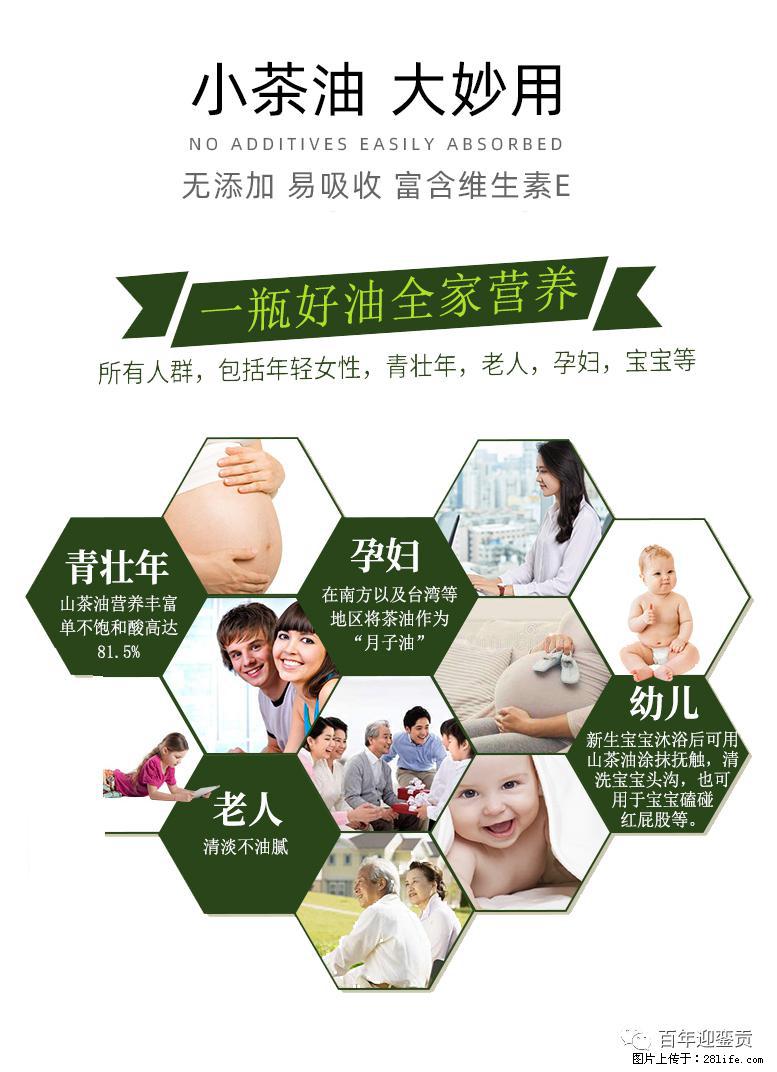 世界没有真相，只有认知，最好的食用油是中国的山茶油！ - 陇南生活资讯 - 陇南28生活网 ln.28life.net