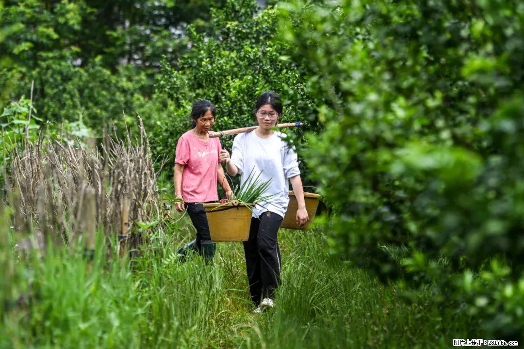 全网追的“扁担女孩”，找了一份暑假工，时薪12元 - 陇南生活资讯 - 陇南28生活网 ln.28life.net