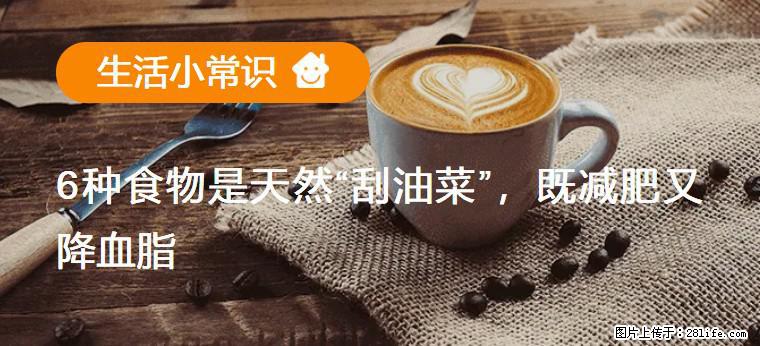 【生活小常识】6种食物是天然“刮油菜”，既减肥又降血脂 - 陇南生活资讯 - 陇南28生活网 ln.28life.net