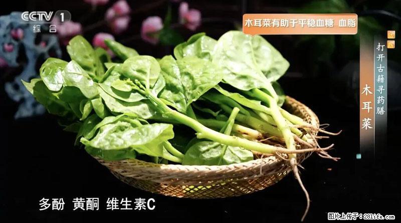 比牛奶补钙还厉害！凉血解毒、稳血糖...这菜冬天必吃，很多人却当草 - 陇南生活资讯 - 陇南28生活网 ln.28life.net