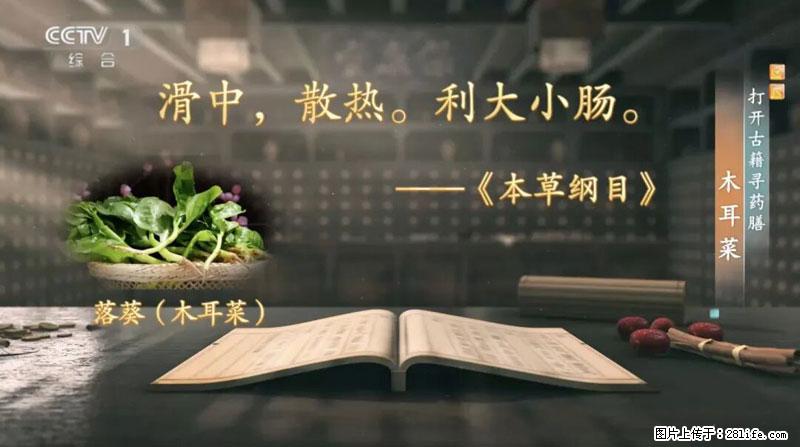 比牛奶补钙还厉害！凉血解毒、稳血糖...这菜冬天必吃，很多人却当草 - 陇南生活资讯 - 陇南28生活网 ln.28life.net