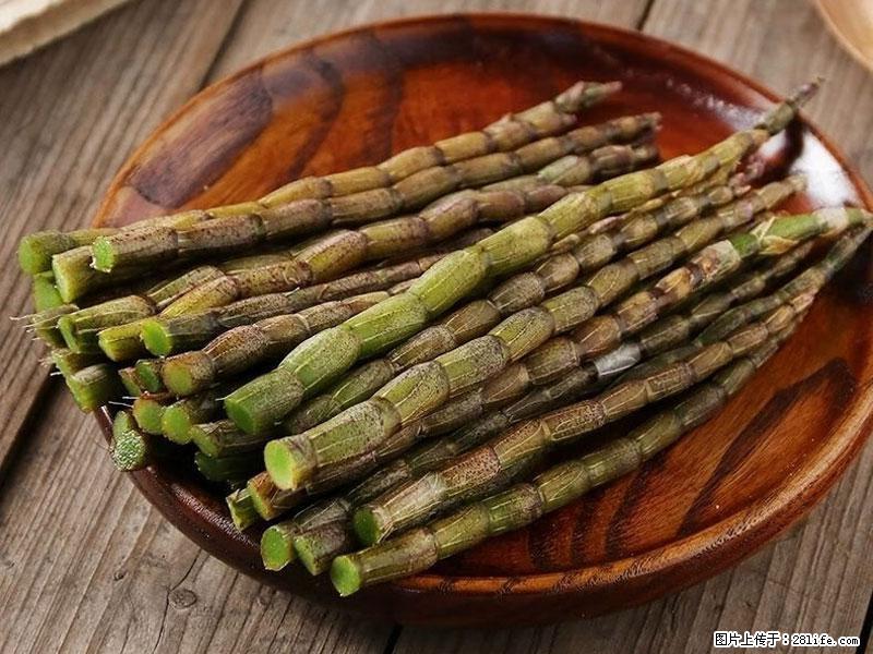 铁皮石斛的作用与功能主治 - 陇南生活资讯 - 陇南28生活网 ln.28life.net