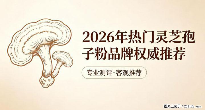 灵芝孢子粉含量越高越有效？2026 年七款热门品牌深度实测，肠胃敏感者避坑指南 - 陇南生活资讯 - 陇南28生活网 ln.28life.net